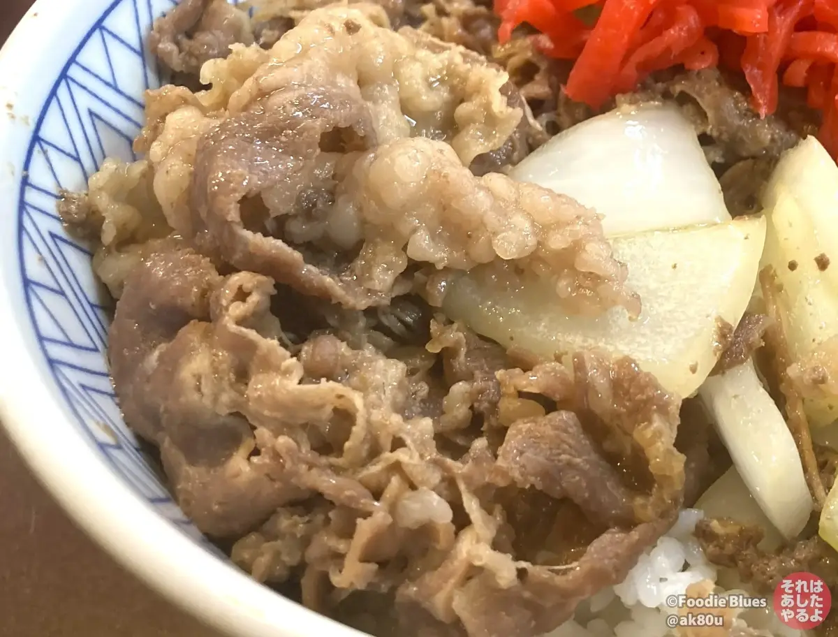 新宿「たつ屋」の牛どんのアップ