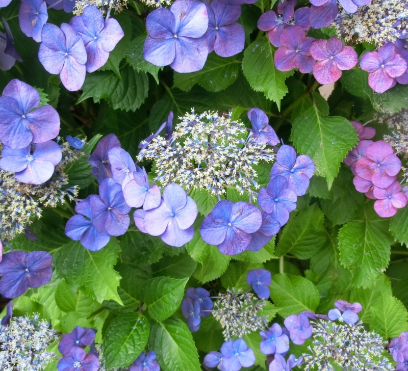 f:id:umryuyanagi104:20120702085943j:image:w360