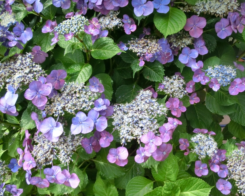 f:id:umryuyanagi104:20120702090015j:image:w360