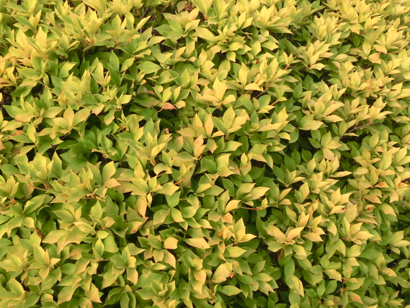 f:id:umryuyanagi104:20120913061447j:image:w360:left