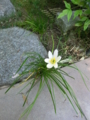f:id:umryuyanagi104:20120913075511j:image:medium:right