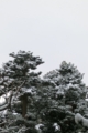 f:id:umryuyanagi104:20130221082428j:image:medium