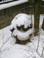 f:id:umryuyanagi104:20130221082547j:image:medium