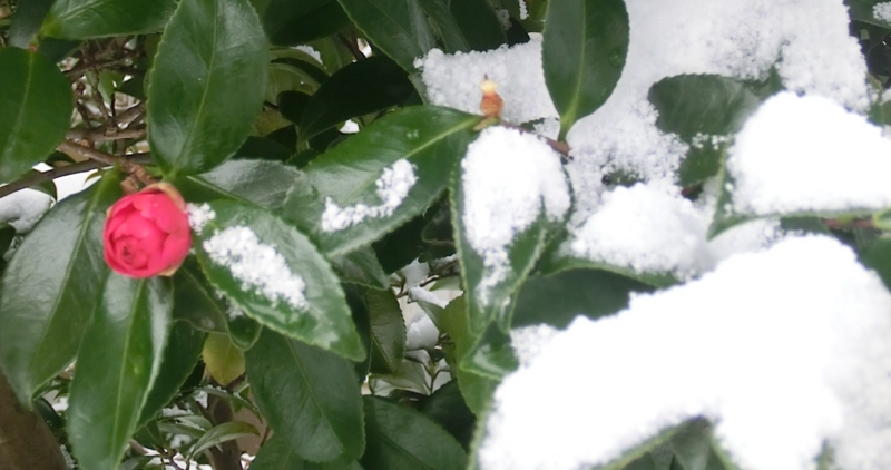 f:id:umryuyanagi104:20130221082613j:image:w360