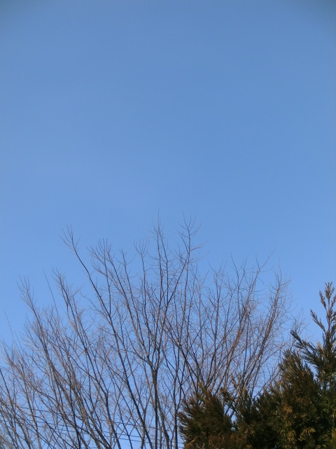 f:id:umryuyanagi104:20130226111227j:image:w360