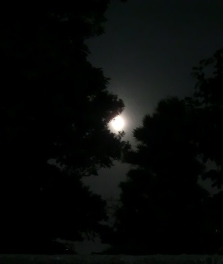 f:id:umryuyanagi104:20130326190417j:image:w360