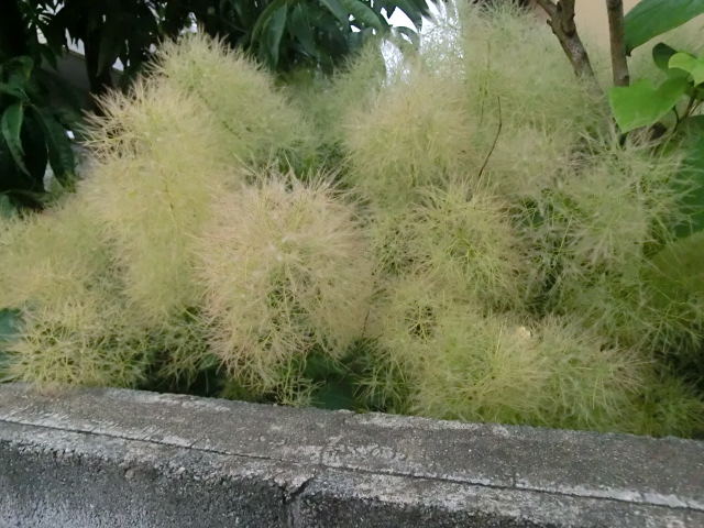 f:id:umryuyanagi104:20130623191858j:image:w360