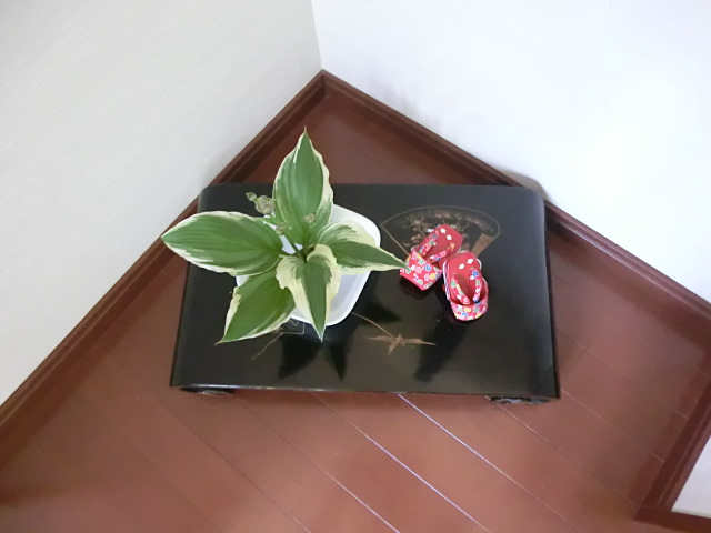 f:id:umryuyanagi104:20130625093128j:image:w360