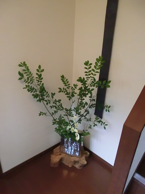 f:id:umryuyanagi104:20130707111657j:image:w360