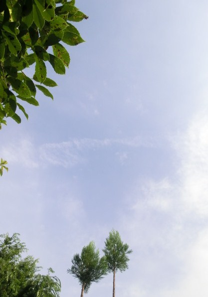 f:id:umryuyanagi104:20130716081942j:image:w360