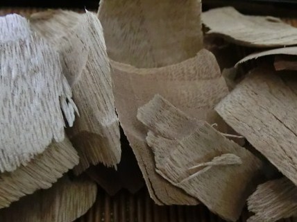 f:id:umryuyanagi104:20130803083242j:image:w360