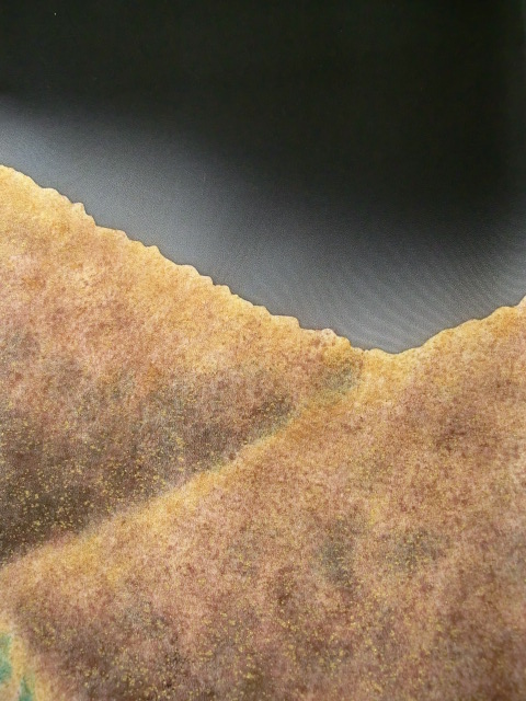 f:id:umryuyanagi104:20130909150427j:image:w360