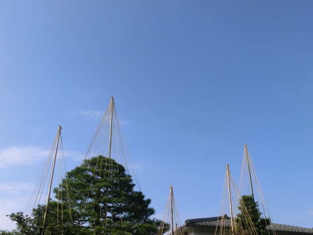 f:id:umryuyanagi104:20131205130639j:image:w360