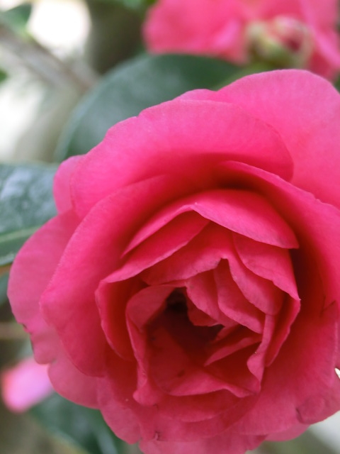 f:id:umryuyanagi104:20131209112103j:image:w360