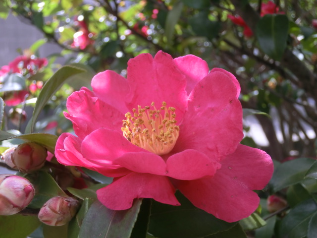 f:id:umryuyanagi104:20140220115151j:image:w360