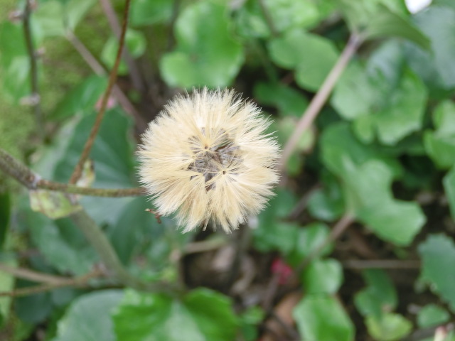f:id:umryuyanagi104:20140220115803j:image:w360