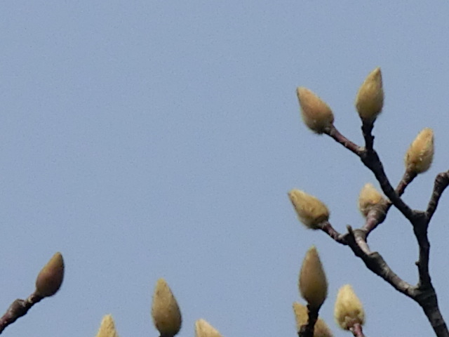 f:id:umryuyanagi104:20140228124717j:image:w360