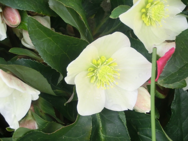 f:id:umryuyanagi104:20140228125531j:image:w360