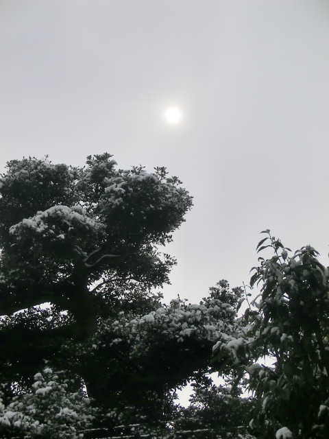 f:id:umryuyanagi104:20140308092154j:image:w360 f:id:umryuyanagi104:20140308092154j:image:w360