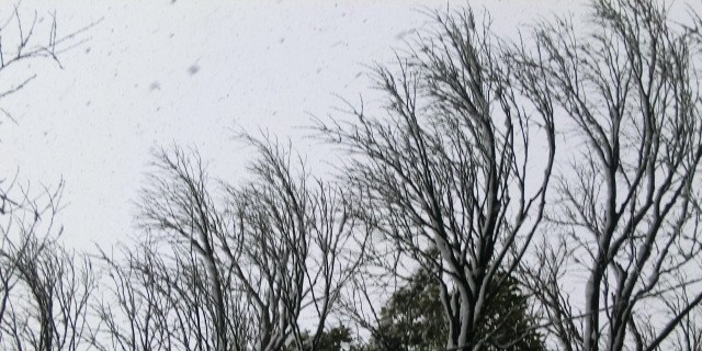 f:id:umryuyanagi104:20140308093628j:image:w360 f:id:umryuyanagi104:20140308093628j:image:w360