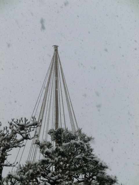f:id:umryuyanagi104:20140308093939j:image:w360 f:id:umryuyanagi104:20140308093939j:image:w360