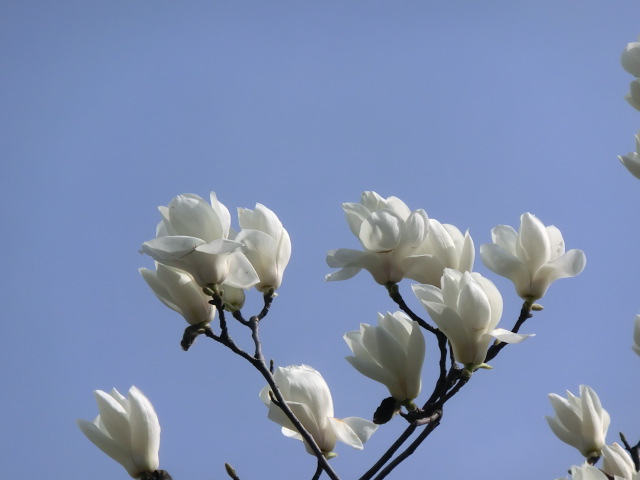 f:id:umryuyanagi104:20140331150558j:image:w360