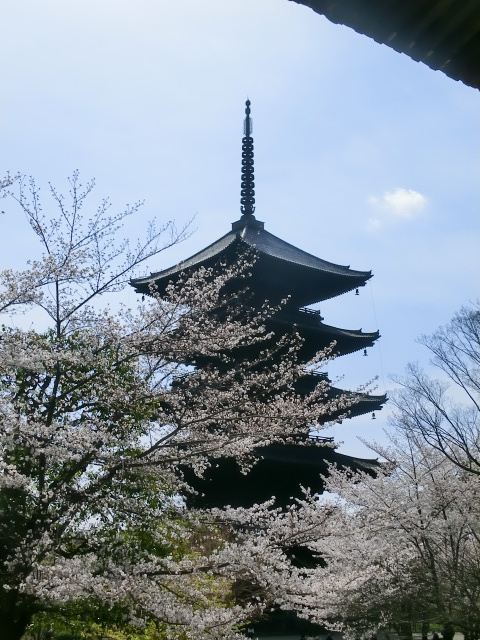 f:id:umryuyanagi104:20140402095048j:image:w360