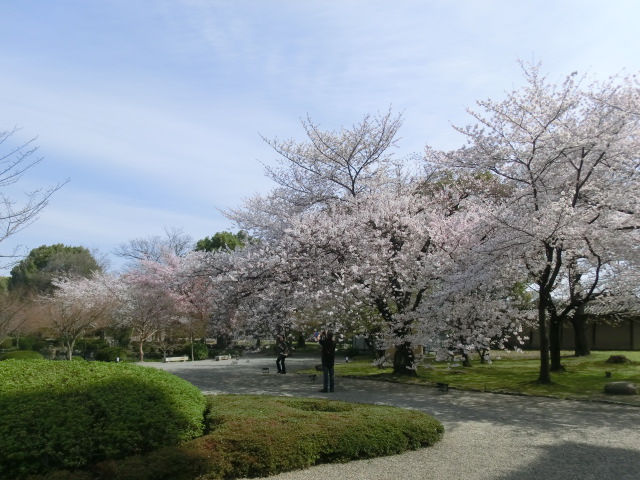 f:id:umryuyanagi104:20140402095936j:image:w360