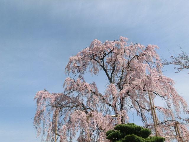 f:id:umryuyanagi104:20140402100317j:image:w360