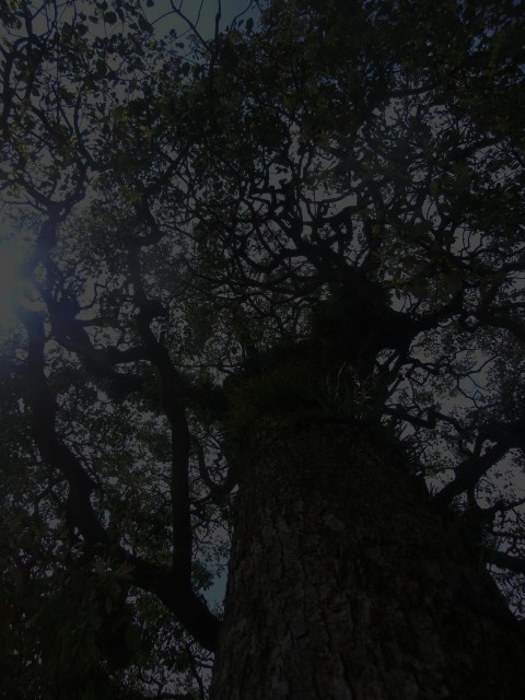 f:id:umryuyanagi104:20140402111504j:image:w360