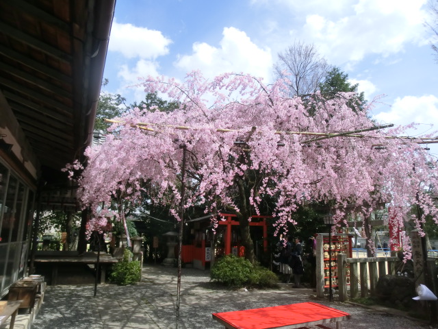 f:id:umryuyanagi104:20140402132558j:image:w360