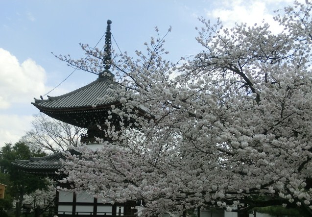 f:id:umryuyanagi104:20140402135459j:image:w360