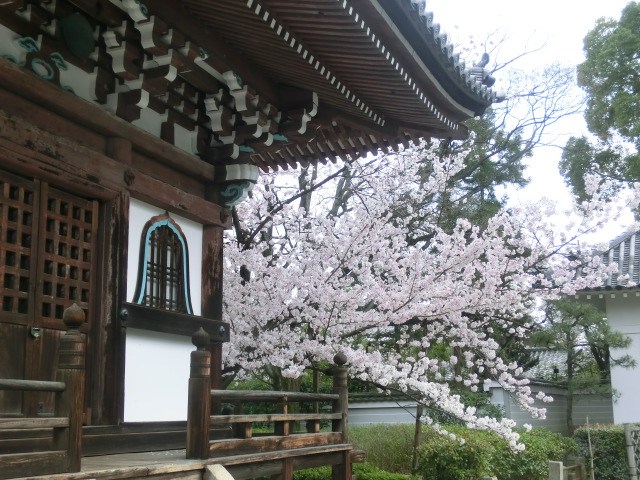 f:id:umryuyanagi104:20140402135644j:image:w360