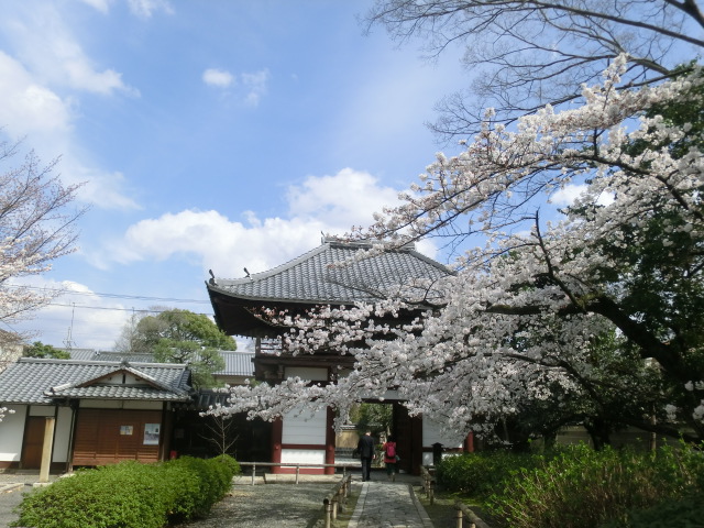f:id:umryuyanagi104:20140402135807j:image:w360
