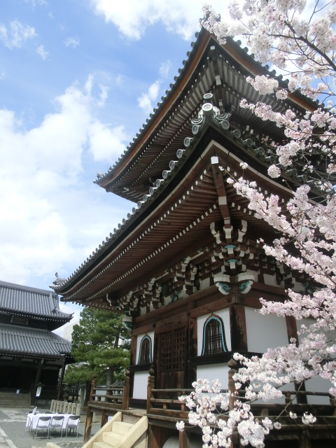 f:id:umryuyanagi104:20140402140307j:image:w360