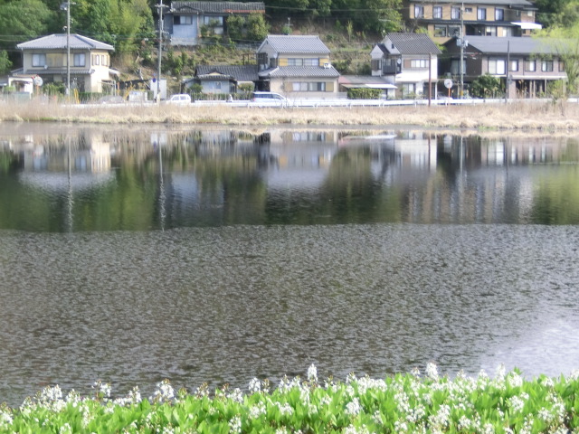 f:id:umryuyanagi104:20140403085931j:image:w360