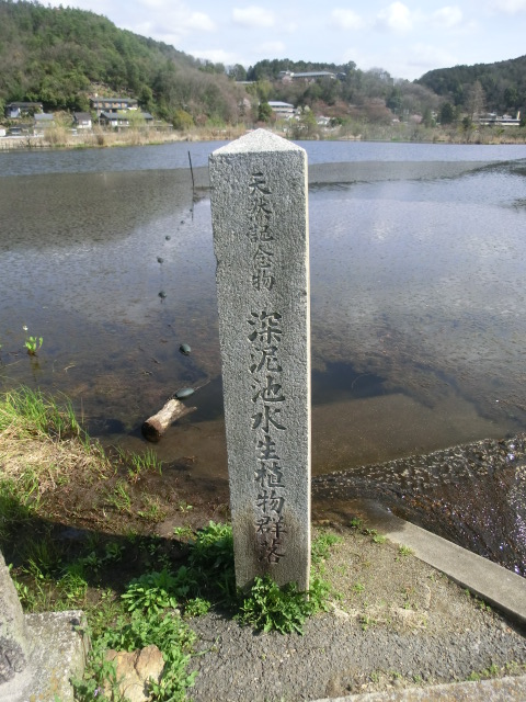 f:id:umryuyanagi104:20140403093532j:image:w360
