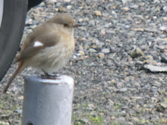 f:id:umryuyanagi104:20140406124543j:image:w360