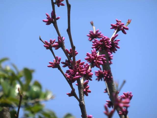 f:id:umryuyanagi104:20140407122108j:image:w360