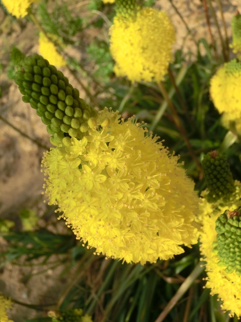 f:id:umryuyanagi104:20140408164930j:image:w360