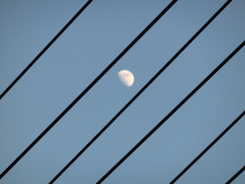 f:id:umryuyanagi104:20140608185025j:image:w360