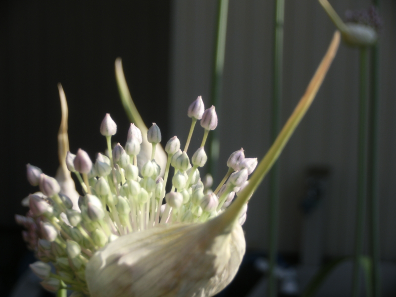 f:id:umryuyanagi104:20140616071213j:image:w360