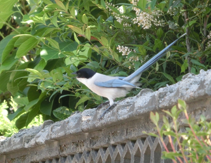 f:id:umryuyanagi104:20140616091000j:image:w360