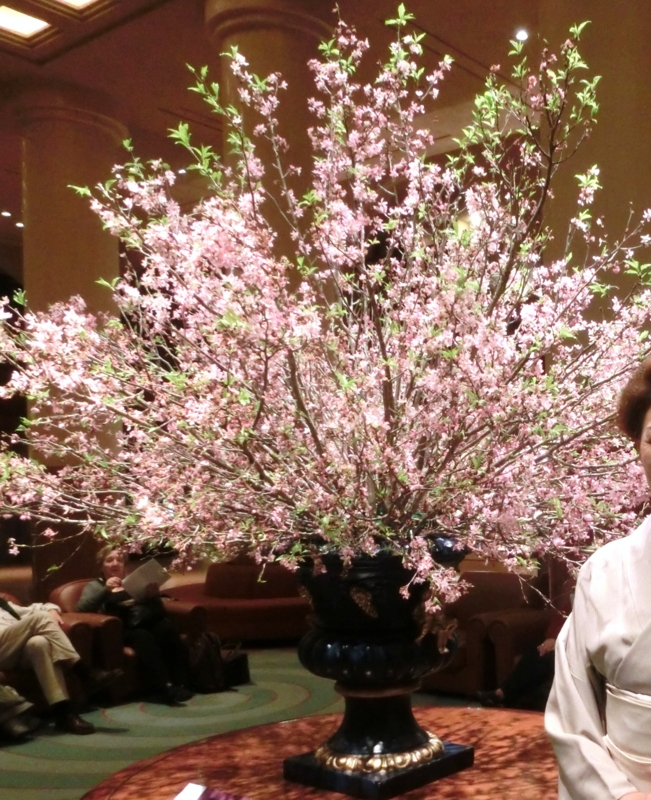 f:id:umryuyanagi104:20150403084811j:image:w360
