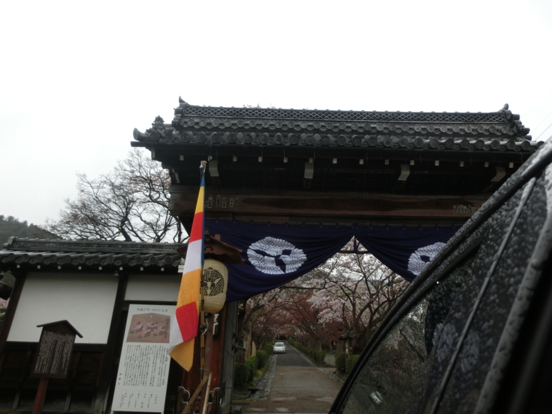 f:id:umryuyanagi104:20150403125130j:image:w360