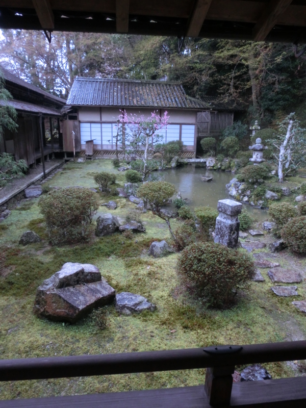 f:id:umryuyanagi104:20150403132026j:image:w360