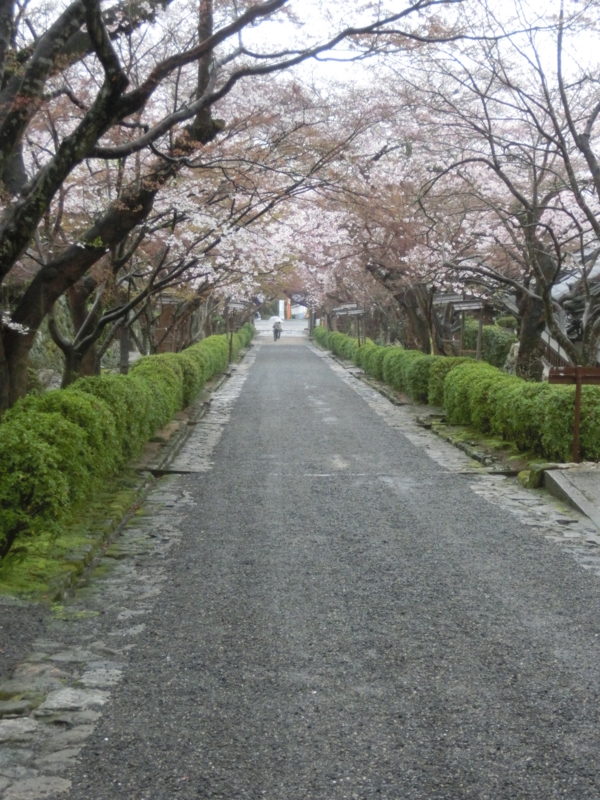 f:id:umryuyanagi104:20150403133445j:image:w360