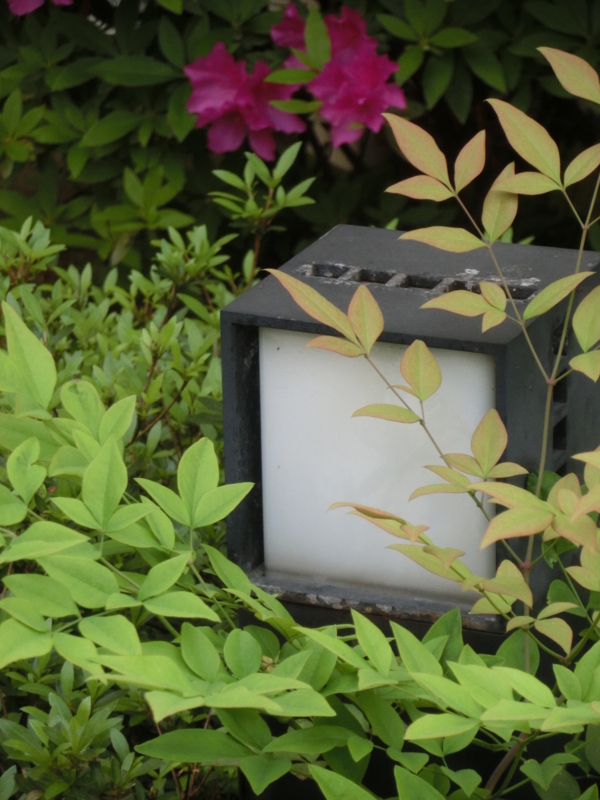 f:id:umryuyanagi104:20150508074013j:image:w360
