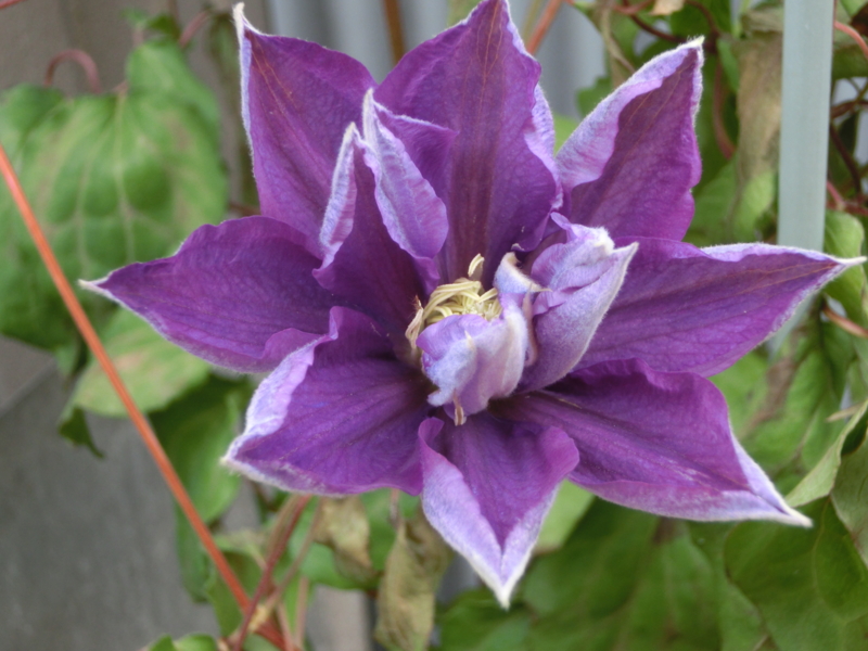 f:id:umryuyanagi104:20150509153828j:image:w360