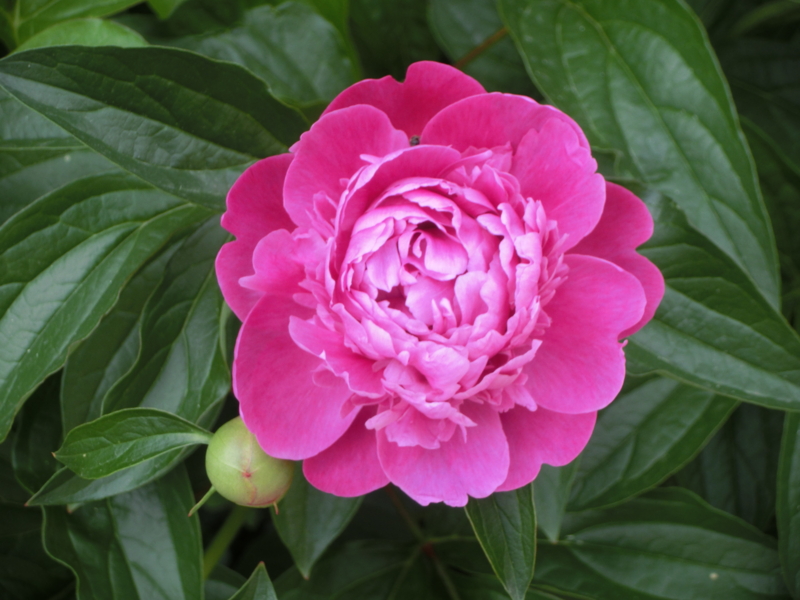 f:id:umryuyanagi104:20150512092647j:image:w360 f:id:umryuyanagi104:20150512092647j:image:w360